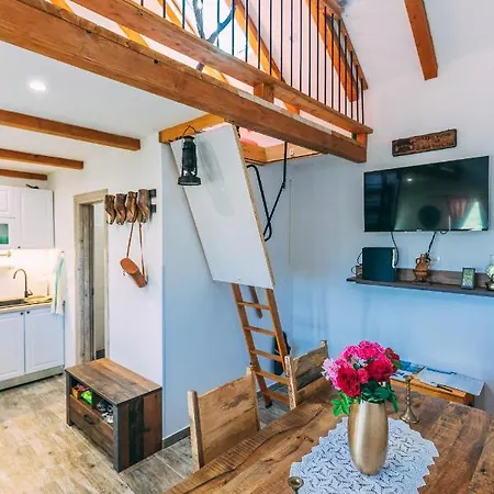 Brvnara House *