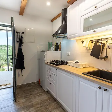 House * Dograde