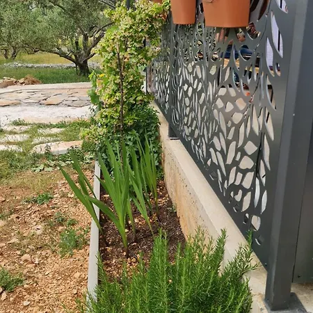 House *