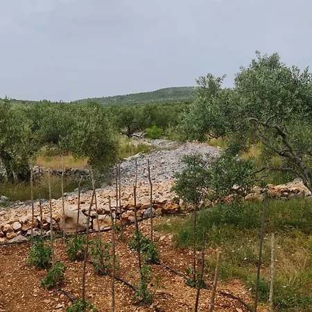 House Brvnara