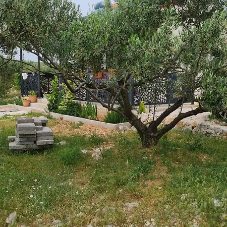 House Brvnara Dograde