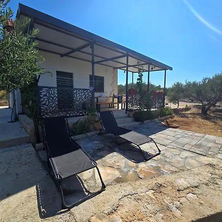 House Brvnara *