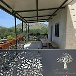 House בקתה