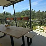 House Dograde