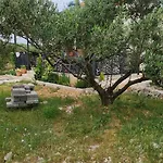House בקתה Dograde