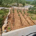 House בקתה *