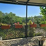 House בקתה *