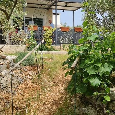 Chalet House