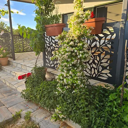 House شاليه *