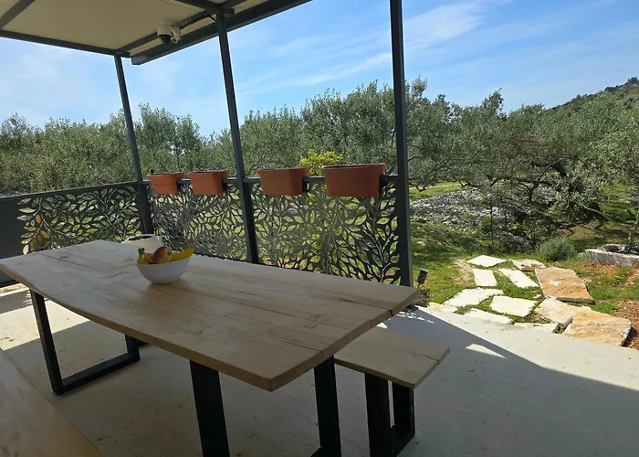 House Dograde