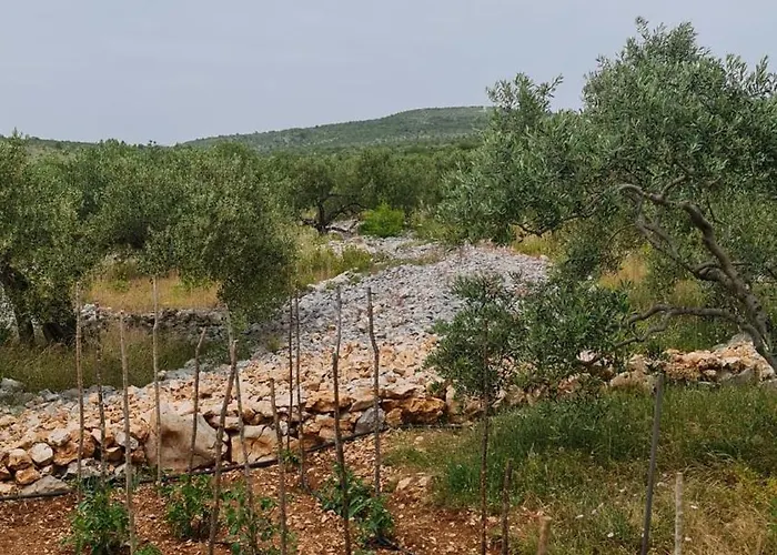 House شاليه