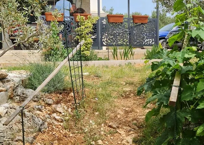 House Dograde